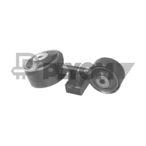P766655 PLYOM