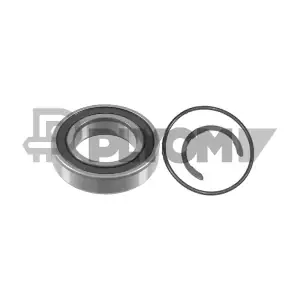 P754813 PLYOM