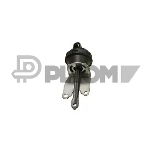 P757537 PLYOM