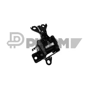 P759069 PLYOM