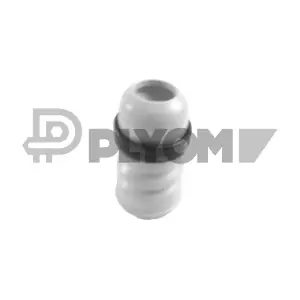 P762216 PLYOM