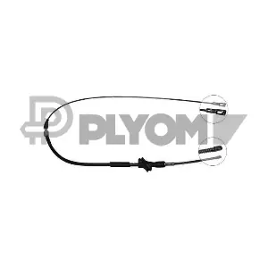 PLYOM P765972