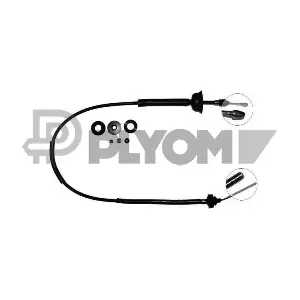 P765871 PLYOM