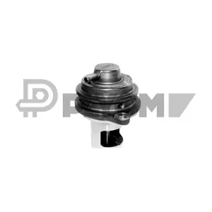 PLYOM P772484