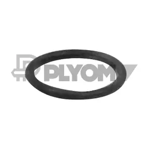 PLYOM P751984