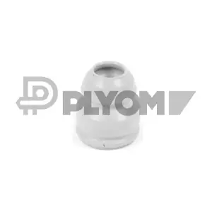 P762416 PLYOM