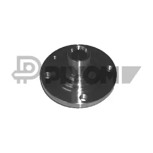 P461013 PLYOM