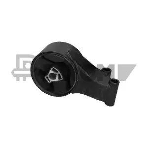 P756290 PLYOM