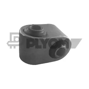 P020289 PLYOM