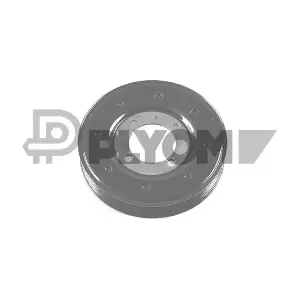 P480908 PLYOM