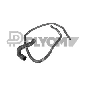 P016769 PLYOM