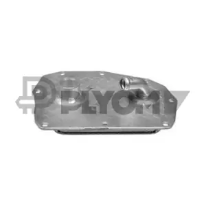 P768817 PLYOM