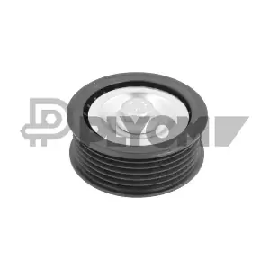 P752421 PLYOM