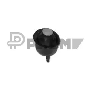 PLYOM P030303