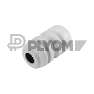756960 PLYOM