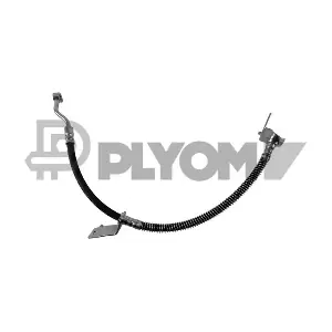 P766767 PLYOM