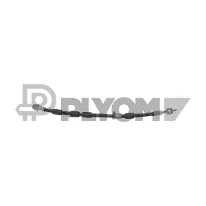 PLYOM P771795
