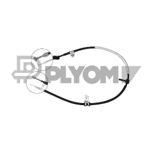 P019034 PLYOM