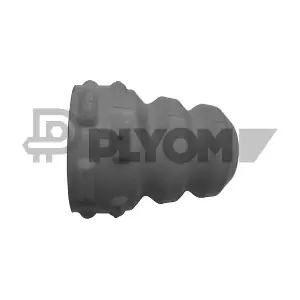 462439 PLYOM