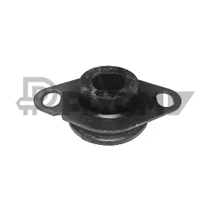 P020381 PLYOM