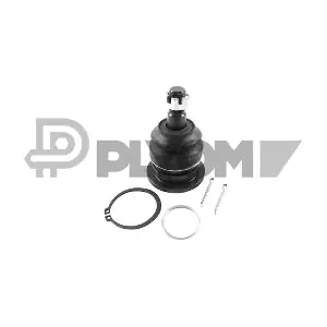 P758946 PLYOM