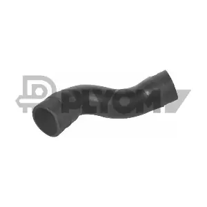 P753219 PLYOM