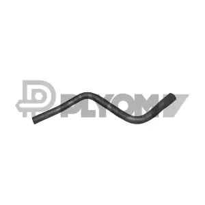 P036219 PLYOM