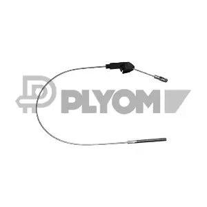 P489005 PLYOM