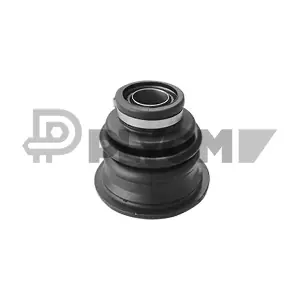P021421 PLYOM