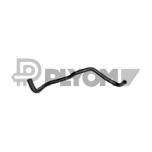 P754357 PLYOM