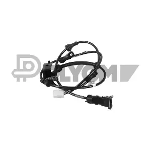 P755281 PLYOM