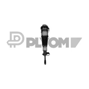 P752167 PLYOM