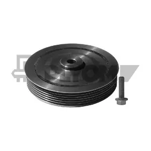 P752325 PLYOM