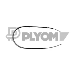 P218000 PLYOM