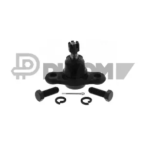 P774162 PLYOM