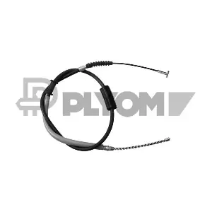 P018989 PLYOM