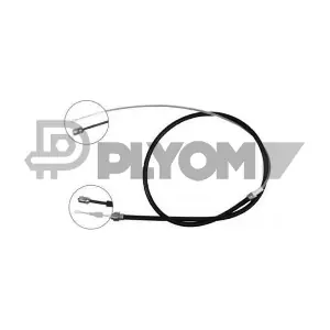 P763118 PLYOM