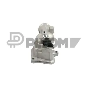 P750864 PLYOM