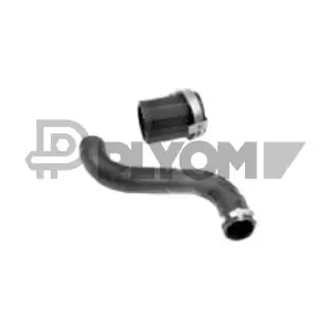 P772034 PLYOM