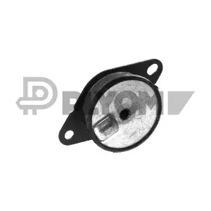 P770836 PLYOM