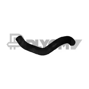 P753587 PLYOM