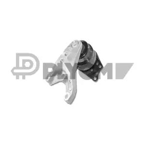 P461132 PLYOM