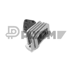 P756055 PLYOM