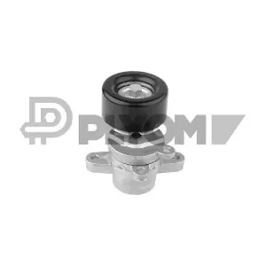 P760984 PLYOM