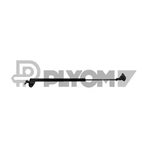 773267 PLYOM