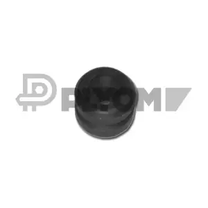 P480542 PLYOM