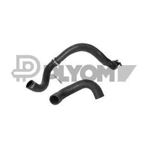 P771652 PLYOM