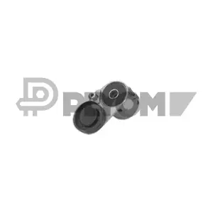 P460983 PLYOM