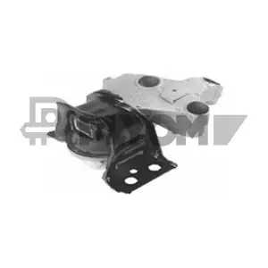 P021500 PLYOM