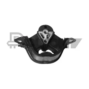 P480305 PLYOM